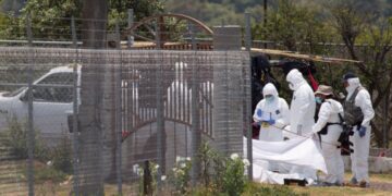 Agricultores hallan 6 cadáveres con huellas de violencia en oeste de México