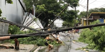 Un tornado provoca caídas de árboles y del tendido eléctrico en el noroeste de Puerto Rico