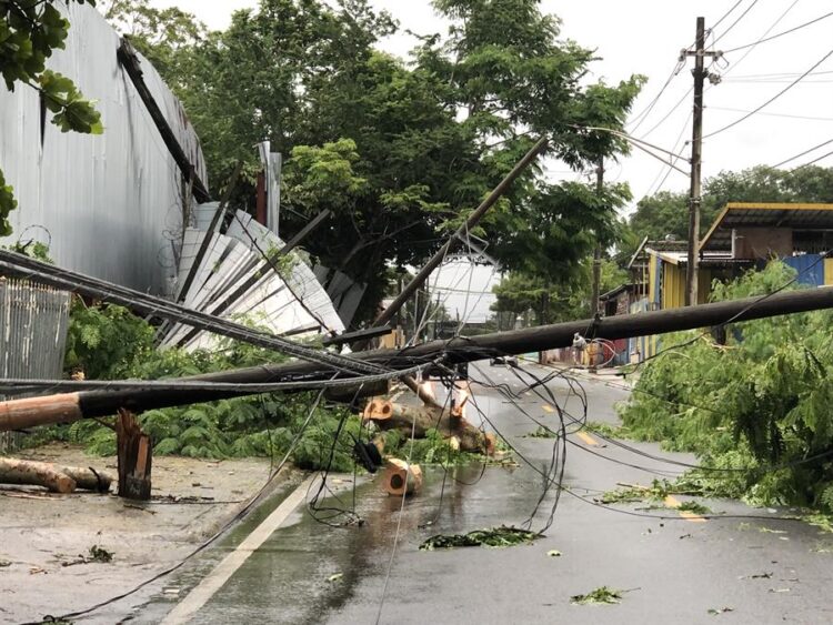 Un tornado provoca caídas de árboles y del tendido eléctrico en el noroeste de Puerto Rico