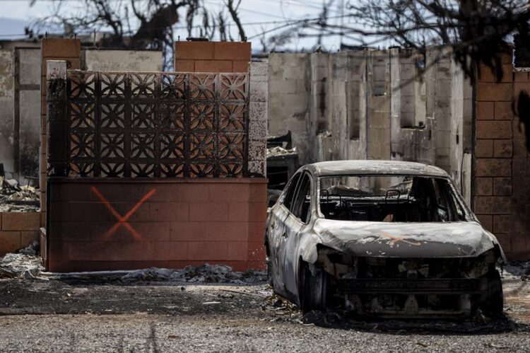Los muertos por los incendios en Maui suben a 106 con solo 5 personas identificadas